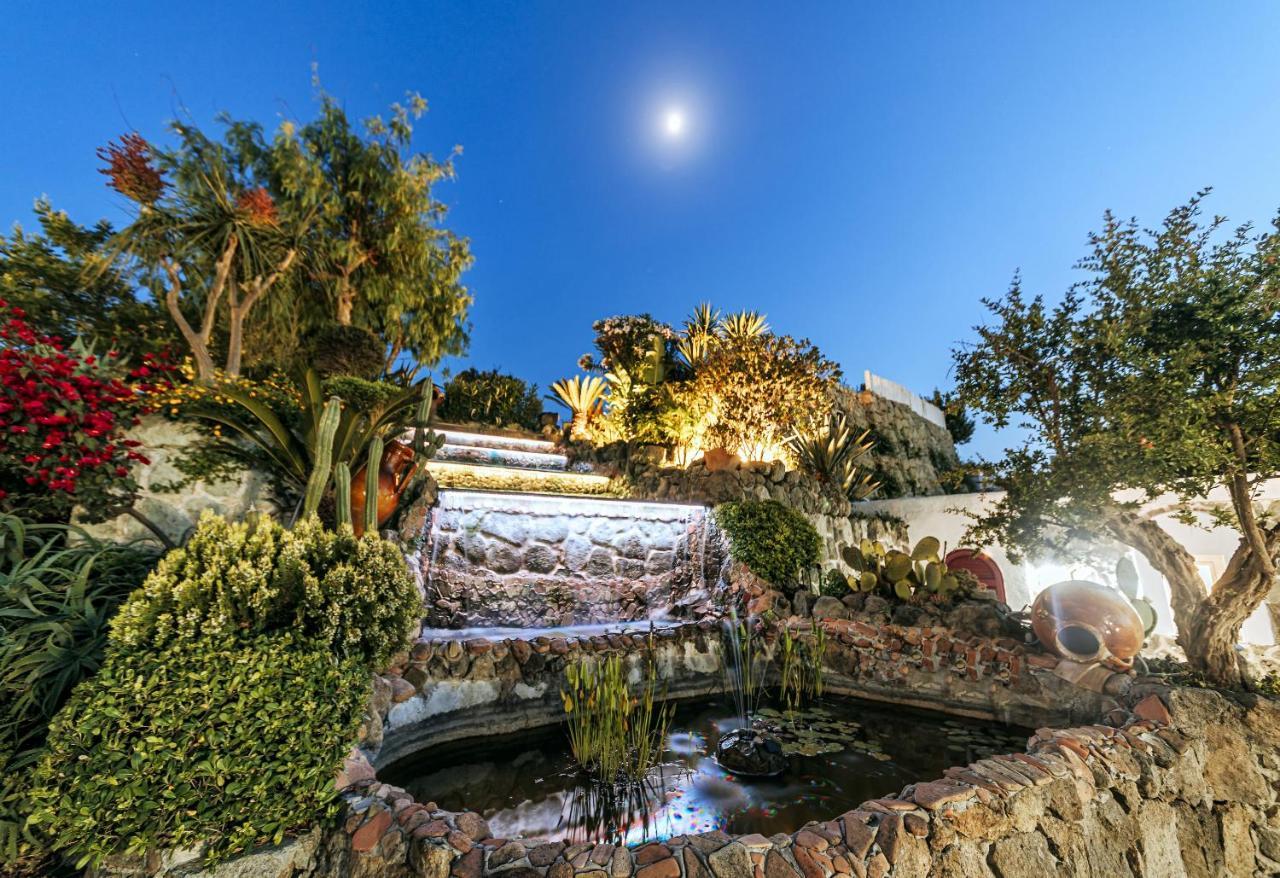 Galidon Wellness Park & 4*